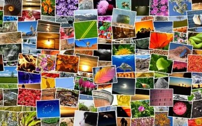 Waar vind ik foto’s voor mijn website?